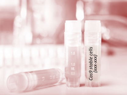 [SA-252CELL-158] Cas9 Stable Cell Line (L-929)