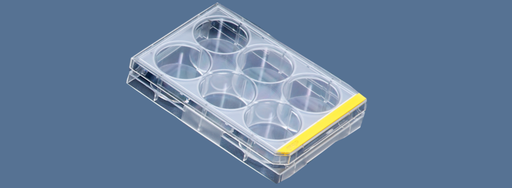 [SK-FEM1B-30] Test plates for cell culture 6 holes