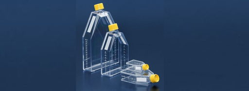 [SK-FEM1B-41] A bottle for cellular culture 75cm2 /cap with filter