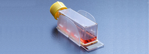 [SK-FEM1B-45] Breeding bottle with microscopic slide, Clipmax 10 cm2