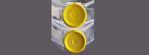 [SK-FEM1B-152] Filter Cap for Cell Culture Bottles – 25 cm² (Pack of 10)